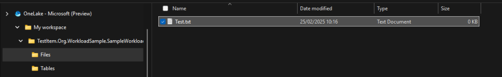 Item Folders showing up in OneLake Explorer