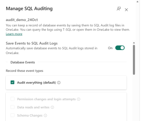 Audit Log Storage in OneLake