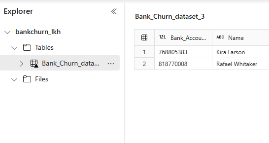 Fig 4 - Bank Churn Transformed Table preview